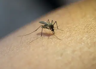 Hospital Margarida registra 15º óbito suspeito por dengue