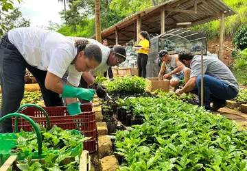 Inscrições para curso de Agricultura Orgânica da Emater vão até dia 7 em São Gonçalo