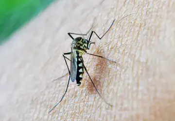 Funed descarta dengue como causa da morte de dois pacientes no Hospital Margarida