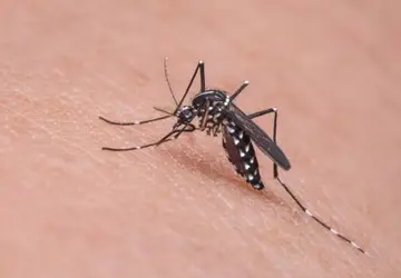 Dengue: morte de paciente de 55 anos é investigada no Hospital Margarida 
